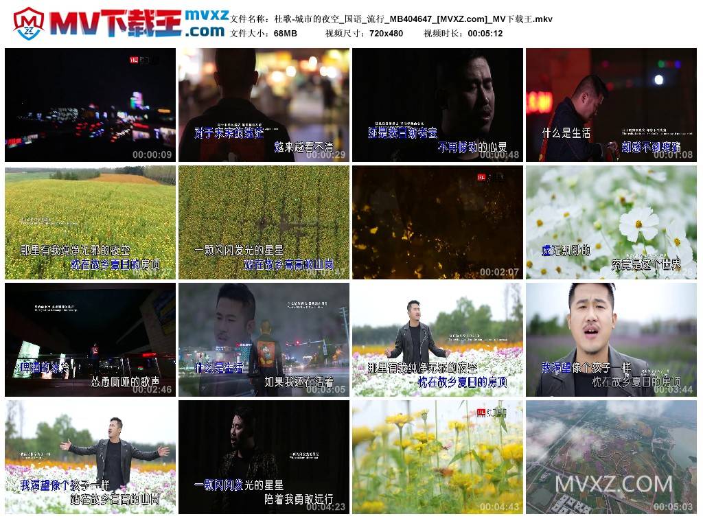 杜歌-城市的夜空_国语_流行_MB404647